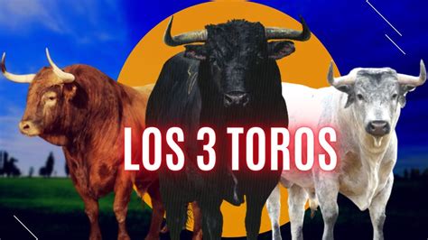 el toro porn|New El toro de oros Porn Videos 2024 